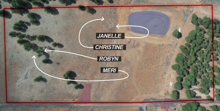 Sister Wives: Brown Coyote Pass Property