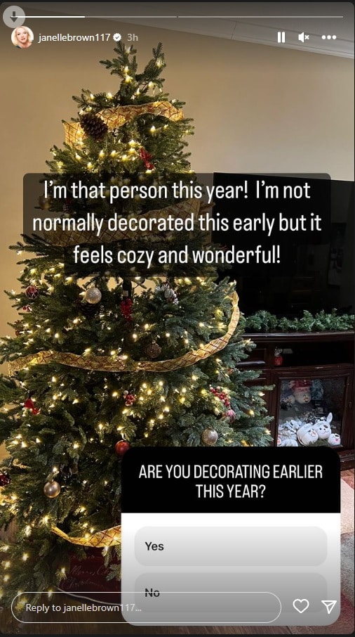 Sister Wives: Janelle Brown - Christmas Tree