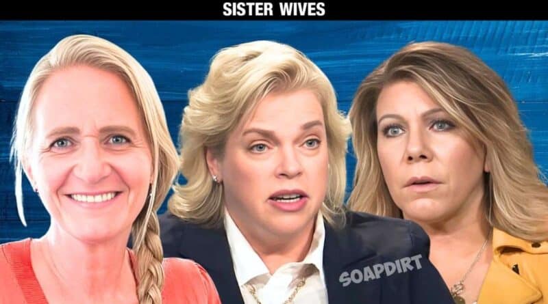 Sister Wives: Meri Brown - Christine Brown - Janelle Brown